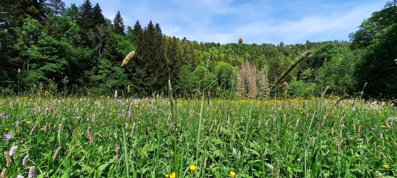 Ferienwohnung Seelust Schluchsee Zewnętrze zdjęcie