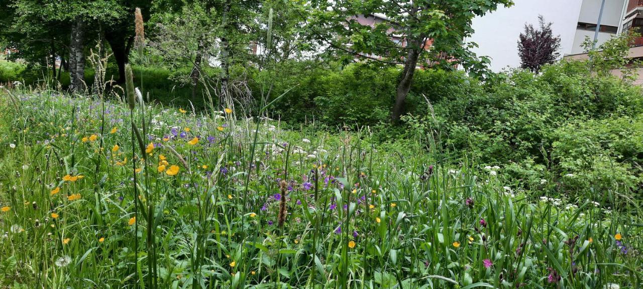 Ferienwohnung Seelust Schluchsee Zewnętrze zdjęcie
